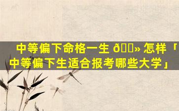 中等偏下命格一生 🌻 怎样「中等偏下生适合报考哪些大学」